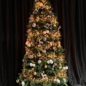 Weihnachtsbaum (diverse Dekorationen)