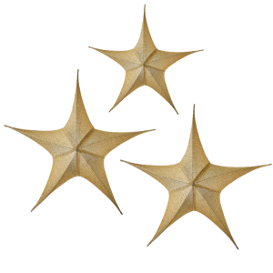 Weihnachtssternen Gold