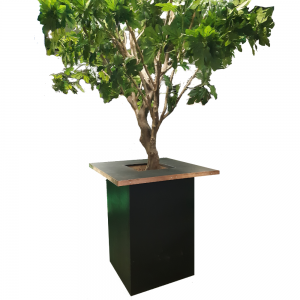 Nero boom tafel